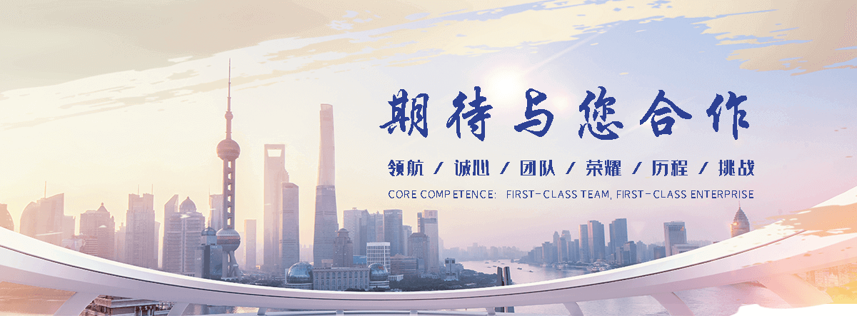 中阳优化公司哪家好